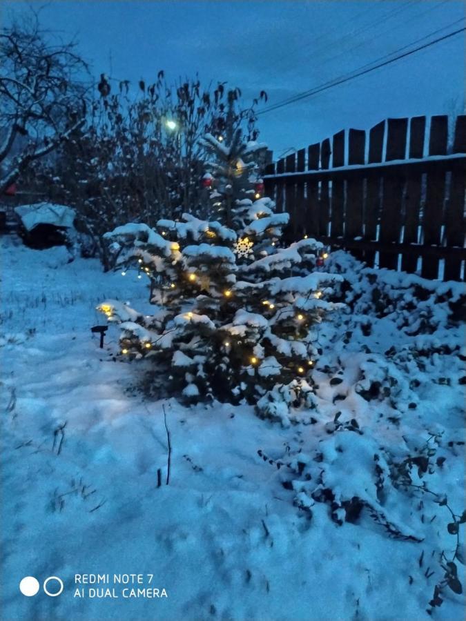 Kotej Kresanya Villa Mykulychyn Dış mekan fotoğraf