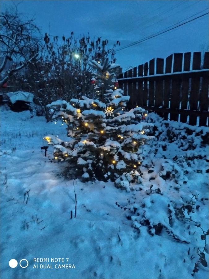Котедж Кресаня Mykulychyn Dış mekan fotoğraf