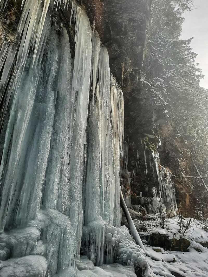 Котедж Кресаня Mykulychyn Dış mekan fotoğraf
