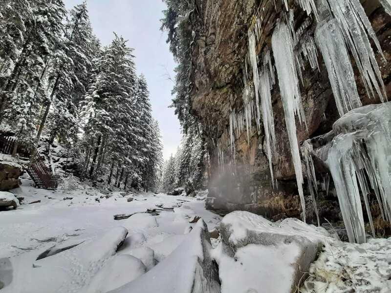 Котедж Кресаня Mykulychyn Dış mekan fotoğraf